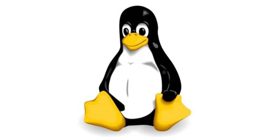10 Basic Linux Commands For Beginners